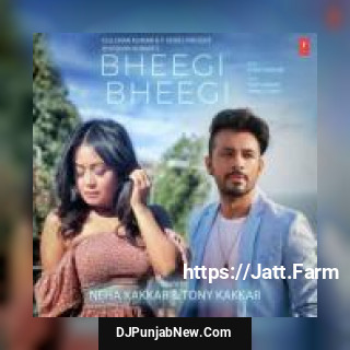 Bheegi Bheegi Tony Kakkar, Neha Kakkar mp3 download